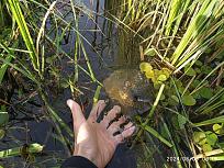 Нажмите на изображение для увеличения.

Название:	IMG-86b3526a8e0b688356cddc8d36bcf930-V.jpg
Просмотров:	92
Размер:	671.2 Кб
ID:	4543920