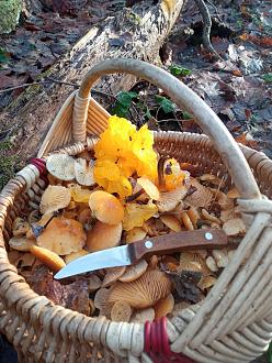 Нажмите на изображение для увеличения.  Название:	IMG_20251213_121638.jpg Просмотров:	0 Размер:	512.1 Кб ID:	4543947