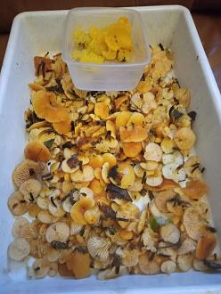 Нажмите на изображение для увеличения.  Название:	IMG_20251213_125819.jpg Просмотров:	0 Размер:	301.9 Кб ID:	4543949