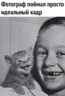 Нажмите на изображение для увеличения.

Название:	597205567_881024897841931_1531285041753119404_n.jpg
Просмотров:	105
Размер:	155.1 Кб
ID:	4543967