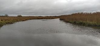 Нажмите на изображение для увеличения.

Название:	IMG_20251212_125420.jpg
Просмотров:	121
Размер:	460.8 Кб
ID:	4544001