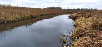 Нажмите на изображение для увеличения.

Название:	IMG_20251212_114503.jpg
Просмотров:	98
Размер:	492.4 Кб
ID:	4544002