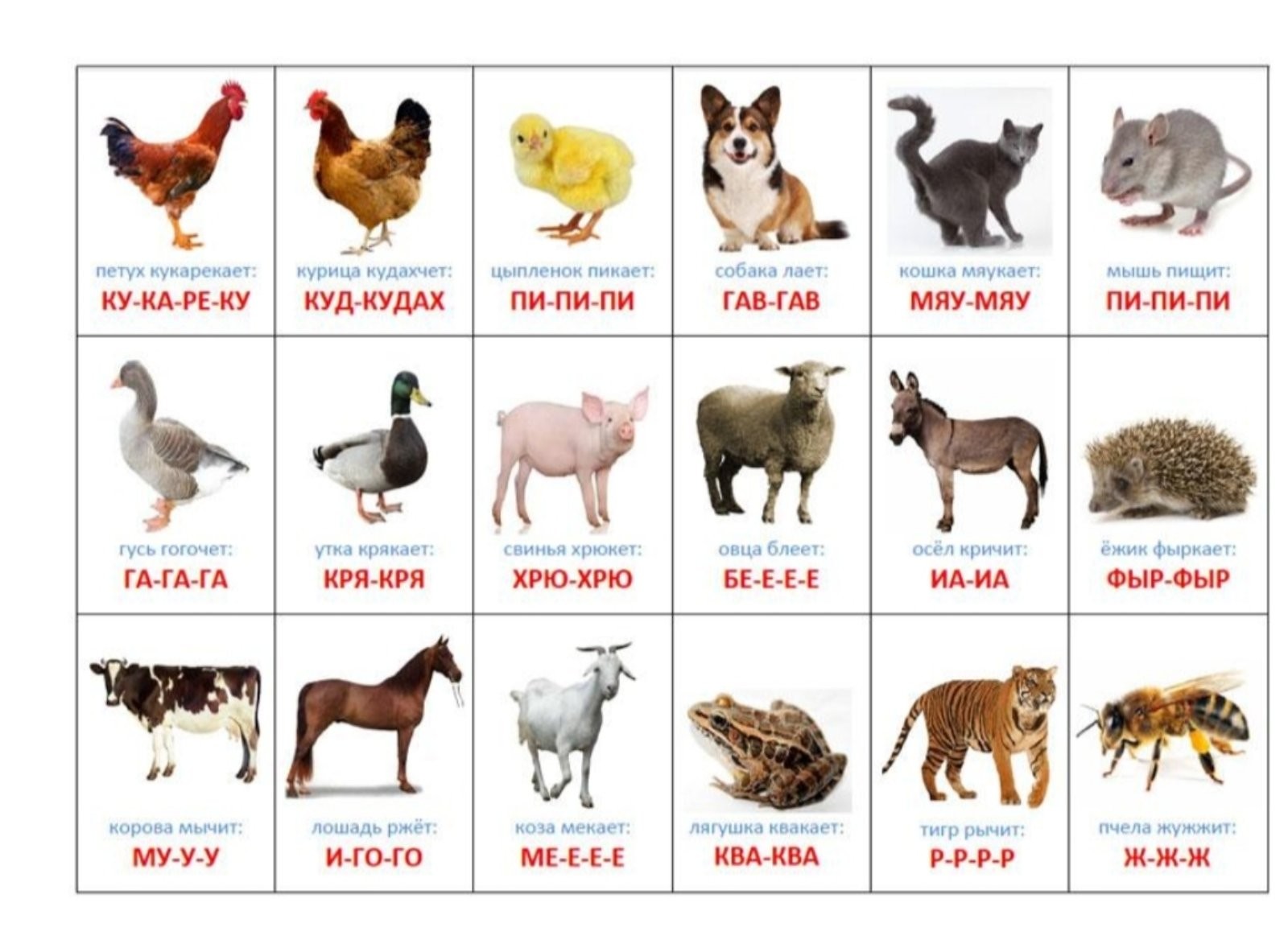 Нажмите на изображение для увеличения.  Название:	изображение_viber_2025-12-13_22-39-19-222.jpg Просмотров:	29 Размер:	226.7 Кб ID:	4544037