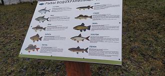 Нажмите на изображение для увеличения.

Название:	IMG_20251215_155730.jpg
Просмотров:	45
Размер:	513.7 Кб
ID:	4544166