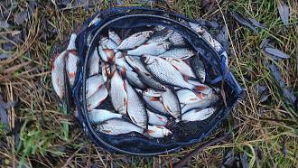 Нажмите на изображение для увеличения.  Название:	IMG_20251214_215146.jpg Просмотров:	0 Размер:	574.2 Кб ID:	4544264