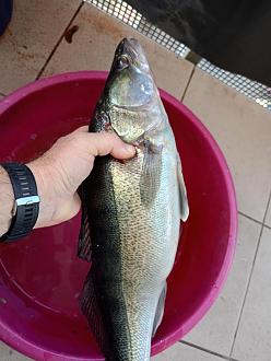 Нажмите на изображение для увеличения.

Название:	IMG20251214133205.jpg
Просмотров:	33
Размер:	265.6 Кб
ID:	4544556