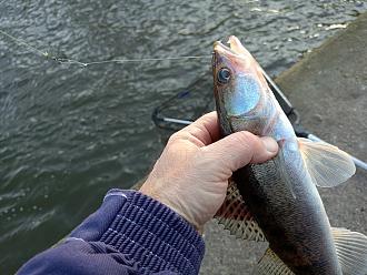 Нажмите на изображение для увеличения.

Название:	IMG20251214125158.jpg
Просмотров:	28
Размер:	531.8 Кб
ID:	4544557