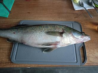 Нажмите на изображение для увеличения.

Название:	IMG20251214134241.jpg
Просмотров:	32
Размер:	466.7 Кб
ID:	4544558