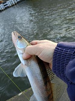 Нажмите на изображение для увеличения.

Название:	IMG20251214125928.jpg
Просмотров:	28
Размер:	405.6 Кб
ID:	4544559