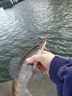 Нажмите на изображение для увеличения.

Название:	IMG20251214120813.jpg
Просмотров:	28
Размер:	395.5 Кб
ID:	4544561