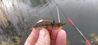 Нажмите на изображение для увеличения.

Название:	IMG_20251221_142522.jpg
Просмотров:	63
Размер:	382.8 Кб
ID:	4544614