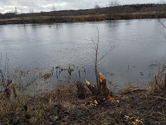 Нажмите на изображение для увеличения.

Название:	IMG_20251222_122840.jpg
Просмотров:	436
Размер:	564.8 Кб
ID:	4544369