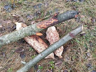 Нажмите на изображение для увеличения.

Название:	IMG_20251222_124038.jpg
Просмотров:	76
Размер:	711.9 Кб
ID:	4544370