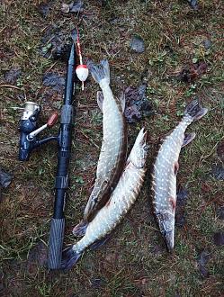 Нажмите на изображение для увеличения.

Название:	IMG_20251222_160433.jpg
Просмотров:	86
Размер:	675.3 Кб
ID:	4544371