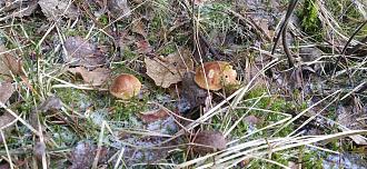 Нажмите на изображение для увеличения.

Название:	IMG_20251224_151106.jpg
Просмотров:	407
Размер:	585.4 Кб
ID:	4544415