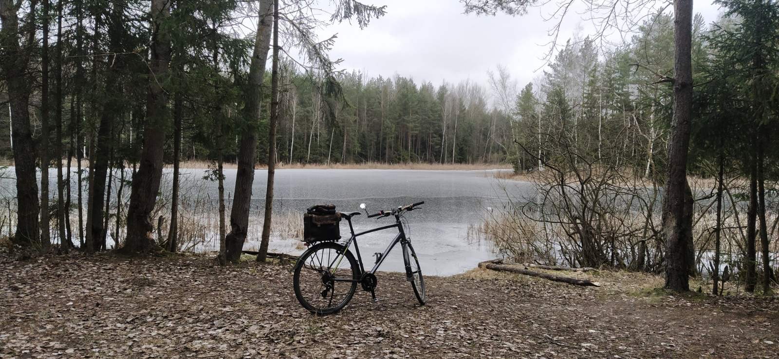 Нажмите на изображение для увеличения.

Название:	изображение_viber_2025-12-25_15-12-48-477.jpg
Просмотров:	69
Размер:	415.4 Кб
ID:	4544662