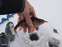 Нажмите на изображение для увеличения.  Название:	IMG_20251228_105742.jpg Просмотров:	0 Размер:	339.2 Кб ID:	4544796