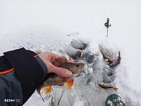 Нажмите на изображение для увеличения.  Название:	IMG_20251228_110124.jpg Просмотров:	0 Размер:	362.1 Кб ID:	4544797