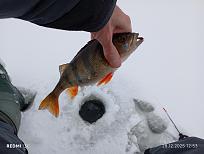 Нажмите на изображение для увеличения.  Название:	IMG_20251228_125308.jpg Просмотров:	0 Размер:	326.0 Кб ID:	4544799