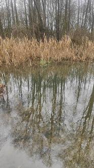 Нажмите на изображение для увеличения.  Название:	IMG20251227135137.jpg Просмотров:	0 Размер:	628.2 Кб ID:	4544786