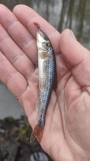 Нажмите на изображение для увеличения.  Название:	IMG20251227155906.jpg Просмотров:	0 Размер:	231.8 Кб ID:	4544789