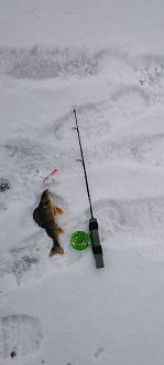 Нажмите на изображение для увеличения.

Название:	IMG_20251230_105832.jpg
Просмотров:	593
Размер:	141.2 Кб
ID:	4544912