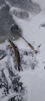 Нажмите на изображение для увеличения.

Название:	IMG_20251230_110630.jpg
Просмотров:	390
Размер:	288.6 Кб
ID:	4544913