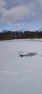 Нажмите на изображение для увеличения.

Название:	IMG_20251230_111257.jpg
Просмотров:	398
Размер:	116.3 Кб
ID:	4544914