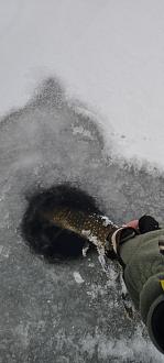 Нажмите на изображение для увеличения.

Название:	IMG_20251230_110913.jpg
Просмотров:	394
Размер:	204.2 Кб
ID:	4544915