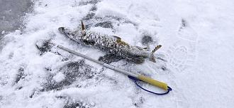 Нажмите на изображение для увеличения.

Название:	IMG_20251230_110550.jpg
Просмотров:	317
Размер:	485.6 Кб
ID:	4544933