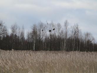 Нажмите на изображение для увеличения.

Название:	IMG_0619.JPG
Просмотров:	296
Размер:	387.3 Кб
ID:	4544934