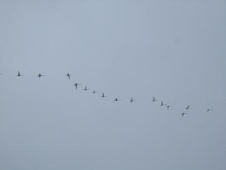 Нажмите на изображение для увеличения.

Название:	IMG_0621.JPG
Просмотров:	295
Размер:	189.4 Кб
ID:	4544935