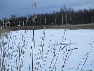 Нажмите на изображение для увеличения.

Название:	IMG_0615.JPG
Просмотров:	306
Размер:	380.8 Кб
ID:	4544936