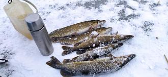 Нажмите на изображение для увеличения.

Название:	IMG_20251230_153930.jpg
Просмотров:	345
Размер:	486.1 Кб
ID:	4544937