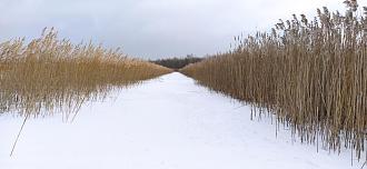 Нажмите на изображение для увеличения.

Название:	IMG_20251230_142250.jpg
Просмотров:	305
Размер:	486.3 Кб
ID:	4544938