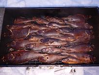 Нажмите на изображение для увеличения.  Название:	IMG_20260101_170646.jpg Просмотров:	6 Размер:	563.5 Кб ID:	4545088