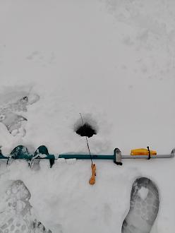 Нажмите на изображение для увеличения.

Название:	IMG_20260102_105229.jpg
Просмотров:	81
Размер:	145.2 Кб
ID:	4545110