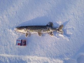 Нажмите на изображение для увеличения.  Название:	0-02-05-2a2df30bc68f1c1f3c77701477f1163eaecf95f7682cb1ef75746dafd7491c57_1ff23b6161d5102b.jpg Просмотров:	0 Размер:	314.8 Кб ID:	4545121