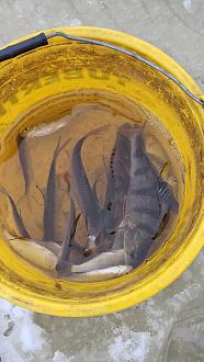 Нажмите на изображение для увеличения.  Название:	20260102_144906.jpg Просмотров:	0 Размер:	337.8 Кб ID:	4545173