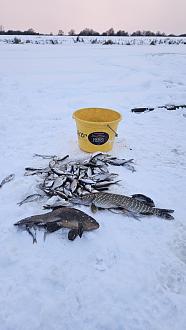 Нажмите на изображение для увеличения.  Название:	20260103_170139.jpg Просмотров:	0 Размер:	242.8 Кб ID:	4545329