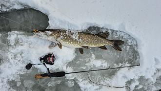 Нажмите на изображение для увеличения.  Название:	IMG_20260104_144038_289.jpg Просмотров:	117 Размер:	476.2 Кб ID:	4545415