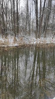 Нажмите на изображение для увеличения.

Название:	IMG20260103132739.jpg
Просмотров:	100
Размер:	627.6 Кб
ID:	4545420