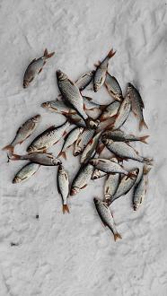 Нажмите на изображение для увеличения.

Название:	IMG20260103133119.jpg
Просмотров:	105
Размер:	329.4 Кб
ID:	4545423