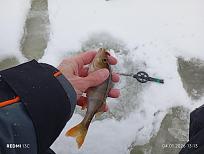 Нажмите на изображение для увеличения.  Название:	IMG_20260104_131351.jpg Просмотров:	0 Размер:	353.8 Кб ID:	4545456