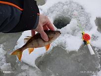 Нажмите на изображение для увеличения.  Название:	IMG_20260104_112811.jpg Просмотров:	0 Размер:	432.5 Кб ID:	4545457