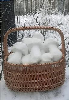 Нажмите на изображение для увеличения.

Название:	610977919_25688139820798713_9050556319777809065_n.jpg
Просмотров:	188
Размер:	95.1 Кб
ID:	4545476