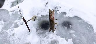 Нажмите на изображение для увеличения.

Название:	IMG_20260104_135410.jpg
Просмотров:	809
Размер:	401.5 Кб
ID:	4545491