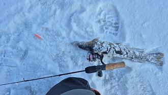 Нажмите на изображение для увеличения.

Название:	IMG_20260105_153826_182.jpg
Просмотров:	1861
Размер:	444.4 Кб
ID:	4545569