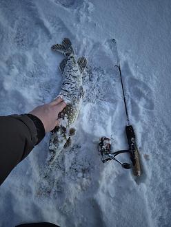 Нажмите на изображение для увеличения.

Название:	20260105_152931.jpg
Просмотров:	950
Размер:	416.6 Кб
ID:	4545570