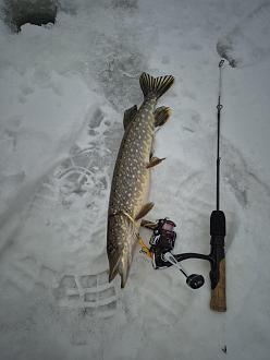 Нажмите на изображение для увеличения.

Название:	20260106_102558.jpg
Просмотров:	1209
Размер:	299.1 Кб
ID:	4545645